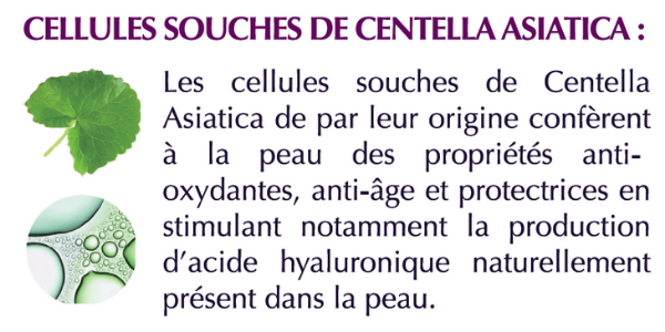 actifs innovant de la gamme Prestige : Extraits et Cellules souches de Centella asiatica 
